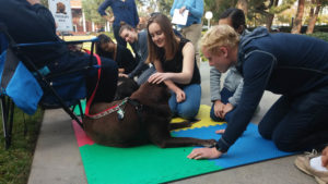 a picture of students petting a therapy dog