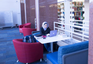Student sitting with laptop in a quiet area of the library.
