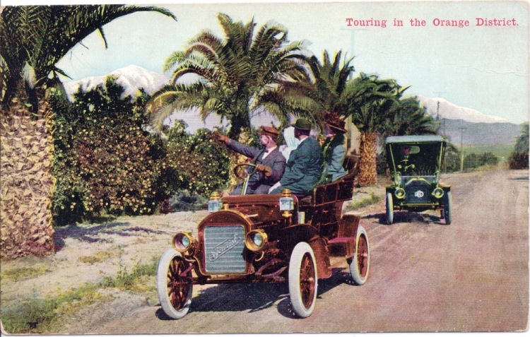 Two 1920s era cars, one filled with four people, are stopped in front of an orange grove.