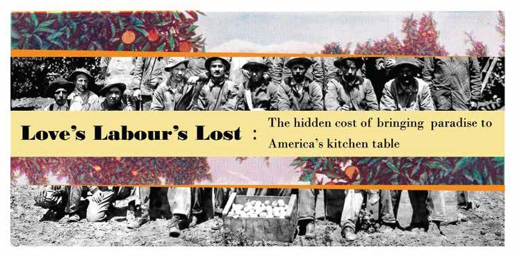 Love's Labour's Lost: The hidden cost of bringing paradise to America's kitchen table