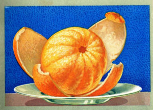 Postcard depicting a whole, peeled orange. Images such as these were typical in advertisements, promoting oranges as inviting and easy to eat.