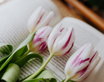 Open book with tulips on it