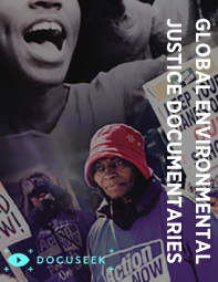 database cover art